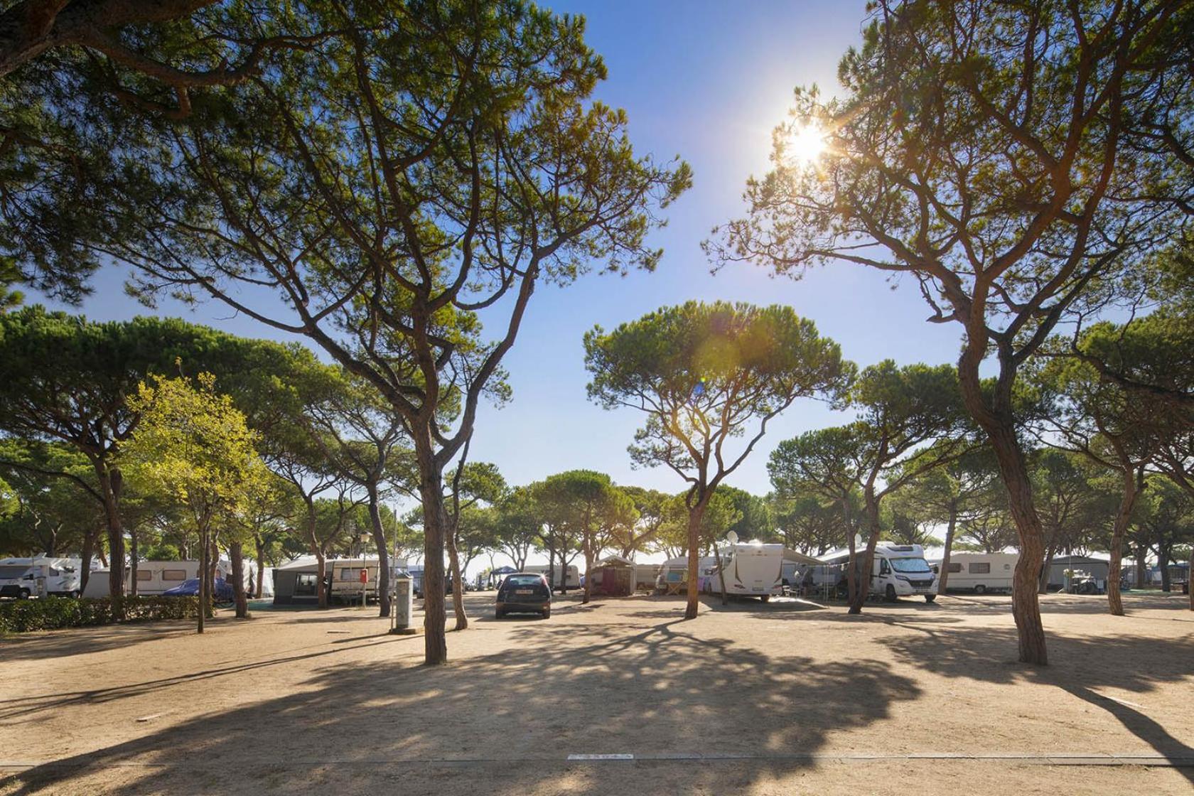 Camping Bella Terra Blanes Extérieur photo